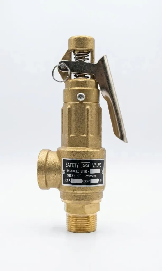AIRMIXS S10LT 1" Bronze High-Pressure Safety Relief Valve with Lever (25 BAR)