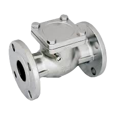 Check Valve